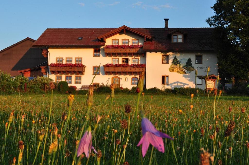 Bauernhof Bauer Lägenhet Zwiesel Exteriör bild